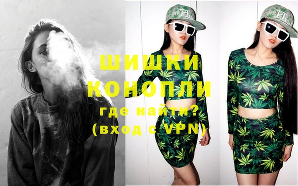 PSILOCYBIN Лихославль