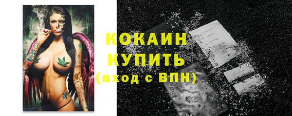 PSILOCYBIN Лихославль