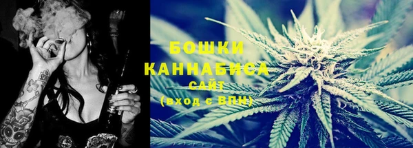 PSILOCYBIN Лихославль
