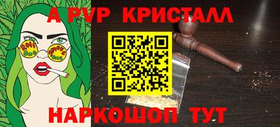 ECSTASY Гатчина
