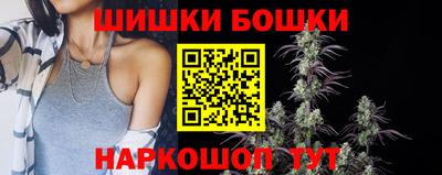 ECSTASY Гатчина