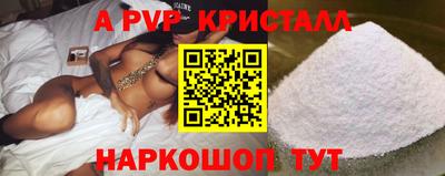 ECSTASY Гатчина