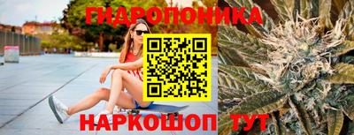 винт Гай