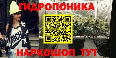 ECSTASY Гатчина