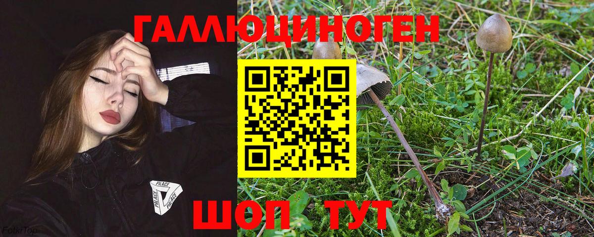 даркнет сайт  Вход с VPN  Красноярск  Галлюциногенные грибы Cubensis  Галлюциногенные грибы Magic Shrooms 