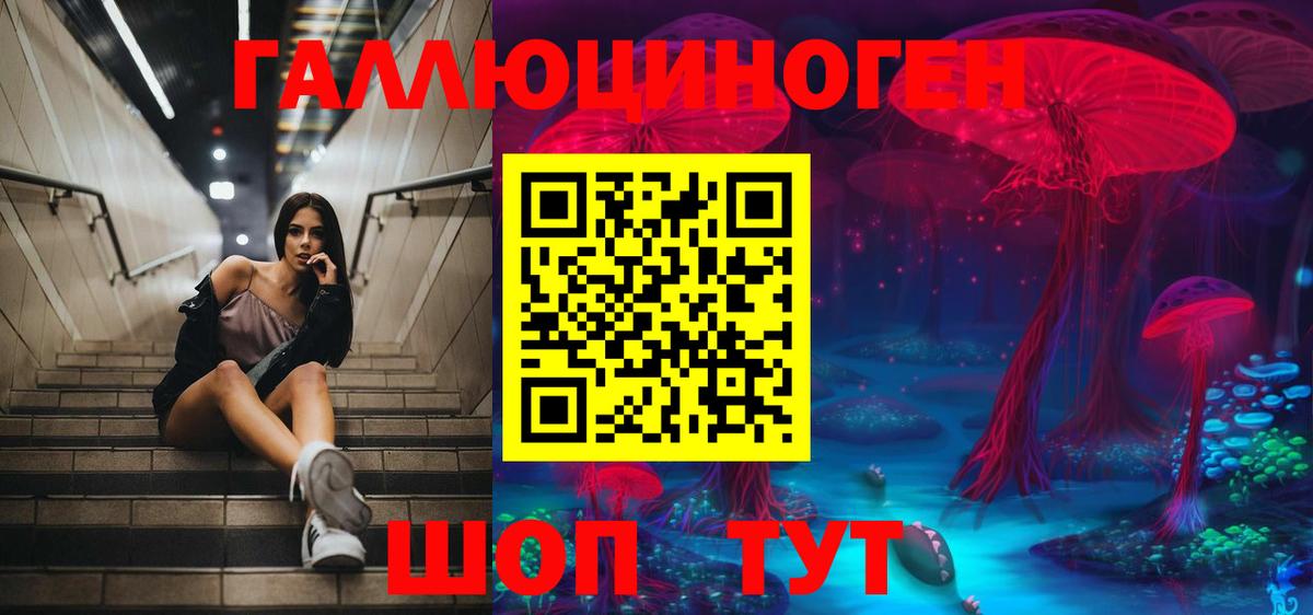 Псилоцибиновые грибы Psilocybine cubensis  купить наркотик  Псилоцибиновые грибы мухоморы  Красноярск 